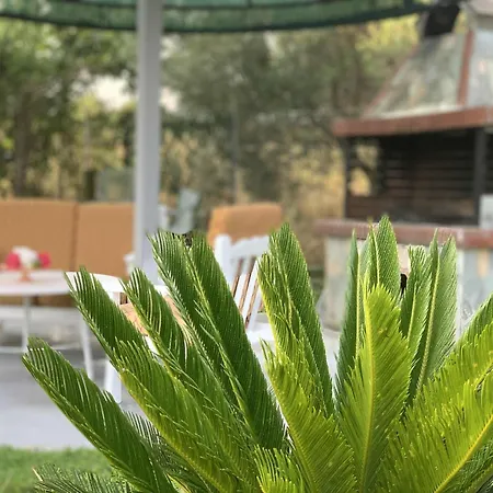 度假居 Dinas House 2 Nea Kallikrateia